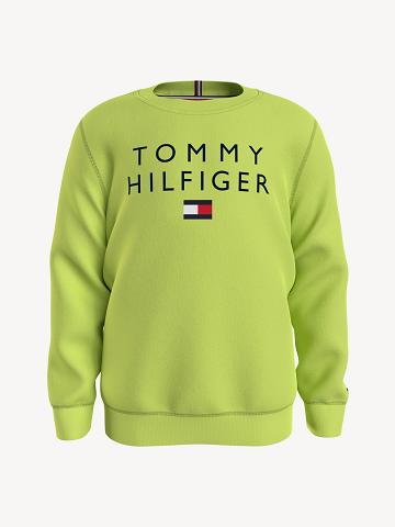 Fiú Tommy Hilfiger Tommy Pulóver Zöld | HU 2223BEX